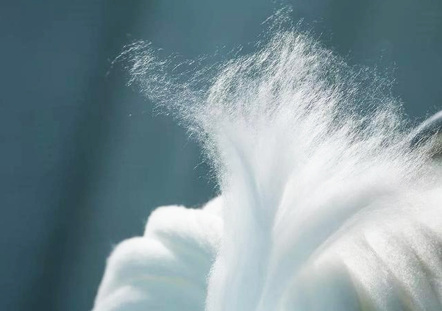 모달과 리오셀의 차이점은 무엇인가요?