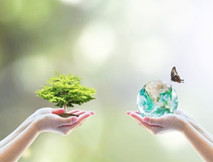 Einführung in Lysel-Produkte