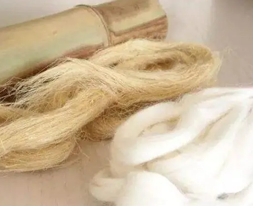 Bluish Dogbane Fiber