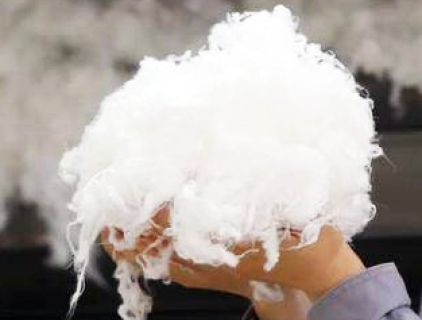 리오셀 섬유가 비싼 이유