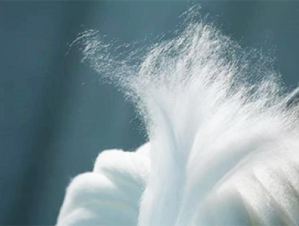 모달과 리오셀의 차이점은 무엇인가요?