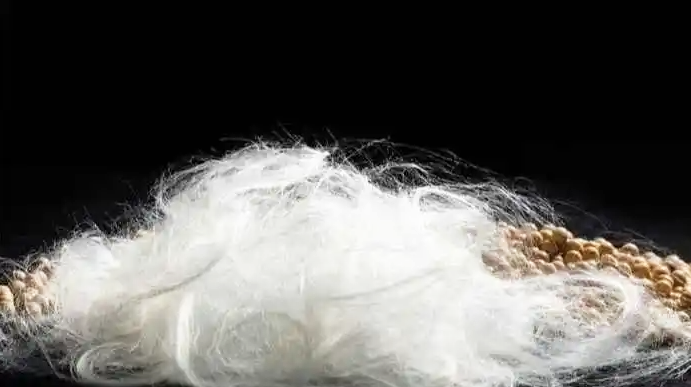 Modal Fiber Properties