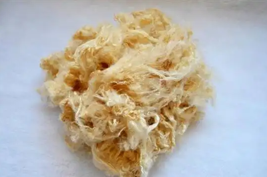 Radix Isatidis Viscose