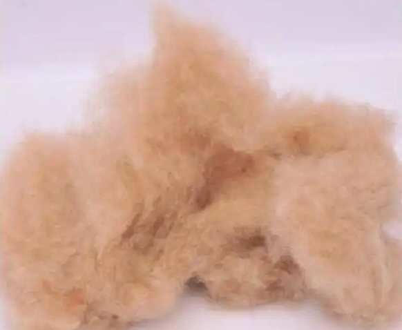 Camel Hair Fiber