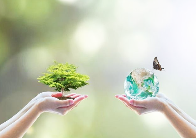 Introduction to Lyocell products Introduction to Lyocell products