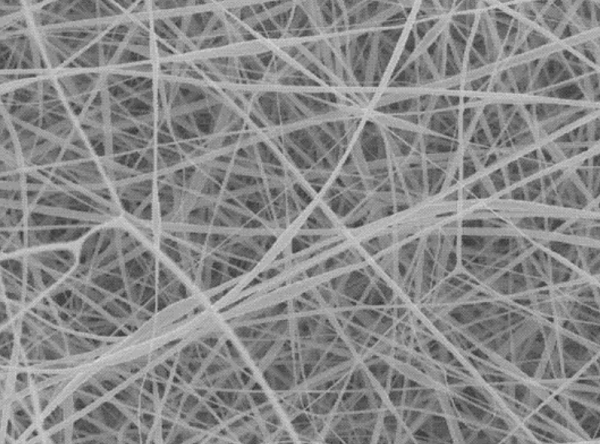 Silver Ion Polyester