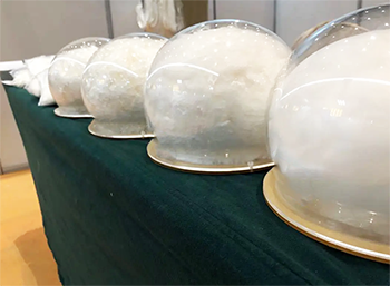 리오셀 섬유란?