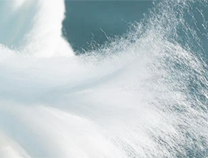 리오셀 섬유 제품의 응용