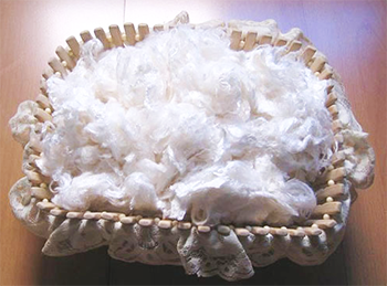 비스코스 스테이플 섬유