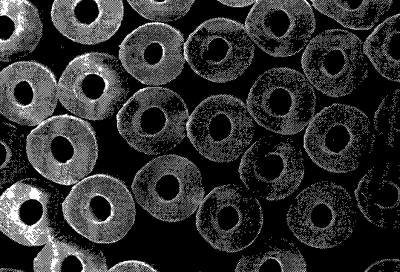 중공 폴리에스테르