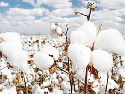 모달 섬유의 특성