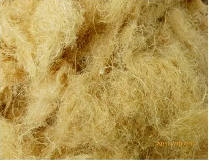 Bamboo Fiber