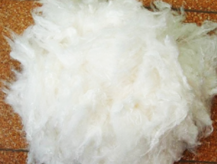 레이온과 모달? 넌 차이점을 알 수 없어