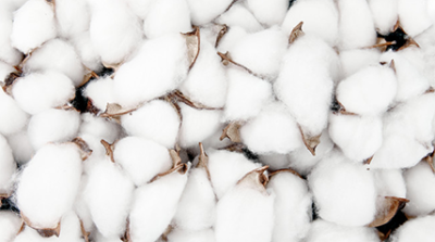 리오셀 섬유의 제조공정