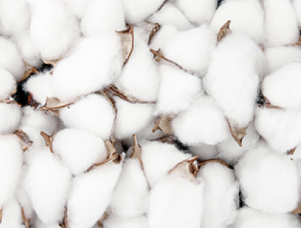 Anwendungen von Lyocellfasern