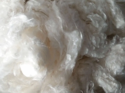 금황련 비스코스